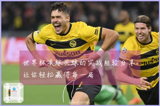 世界杯滚球买球的实战经验分享，让你轻松赢得每一局
