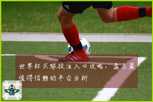 世界杯买球投注入口攻略，盘点最值得信赖的平台分析