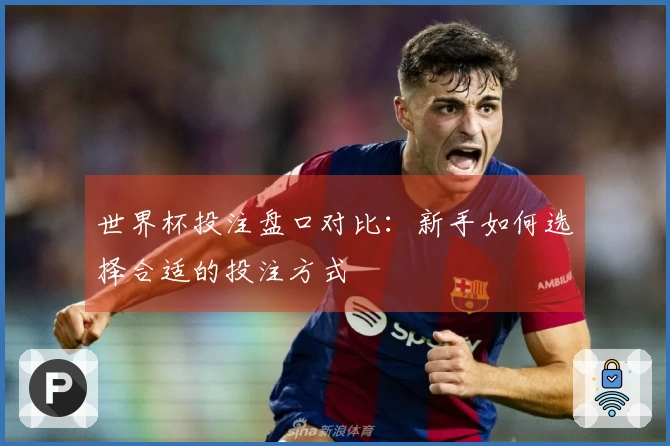 世界杯投注盘口对比：新手如何选择合适的投注方式