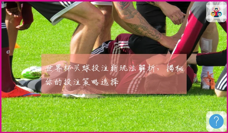 世界杯买球投注新玩法解析，揭秘你的投注策略选择