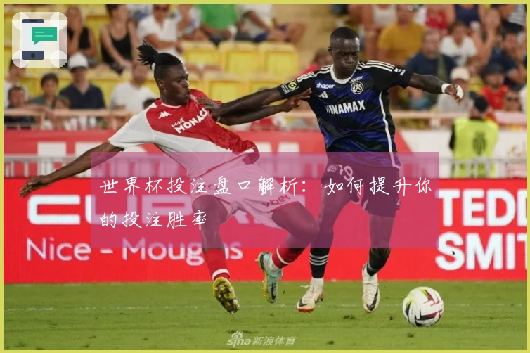 世界杯投注盘口解析：如何提升你的投注胜率