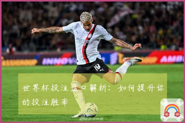 世界杯投注盘口解析：如何提升你的投注胜率
