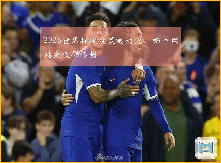 2026世界杯投注策略对比，哪个网站更值得信赖