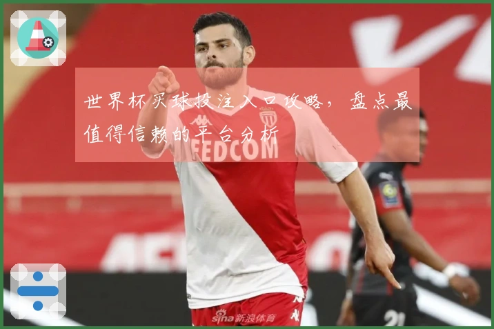 世界杯买球投注入口攻略，盘点最值得信赖的平台分析