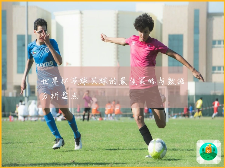 世界杯滚球买球的最佳策略与数据分析盘点